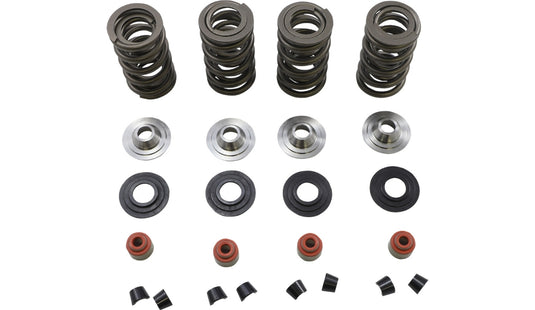 Kibblewhite Precision 20-23650 Racing Valve Spring Kit - .675in. Lift