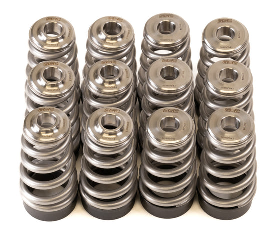 Gsc Power Division 5017 GSC Valve Spring Kits