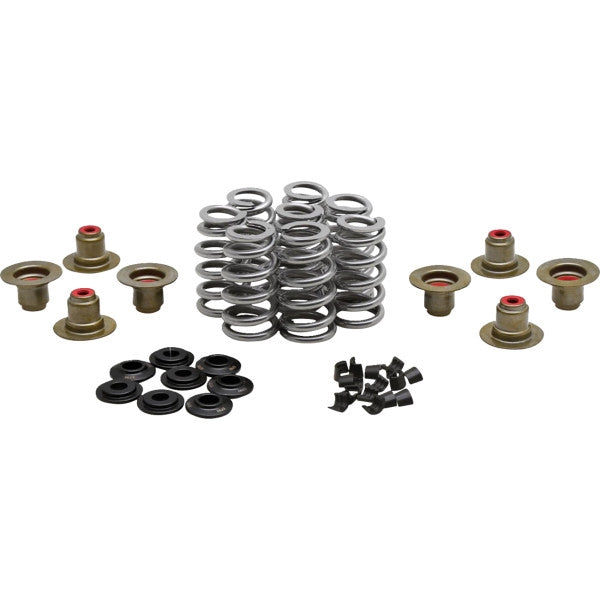 Kibblewhite Precision 20-24400 High-Performance Ovate Wire Beehive Valve Spring Kit