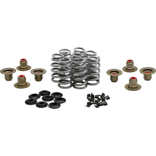 Kibblewhite Precision 20-24400 High-Performance Ovate Wire Beehive Valve Spring Kit