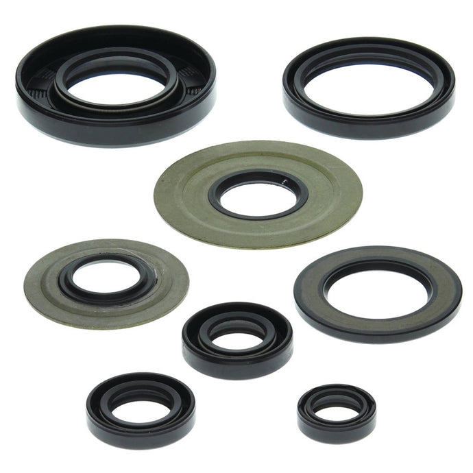 Vertex 822155 Oil Seal Kit