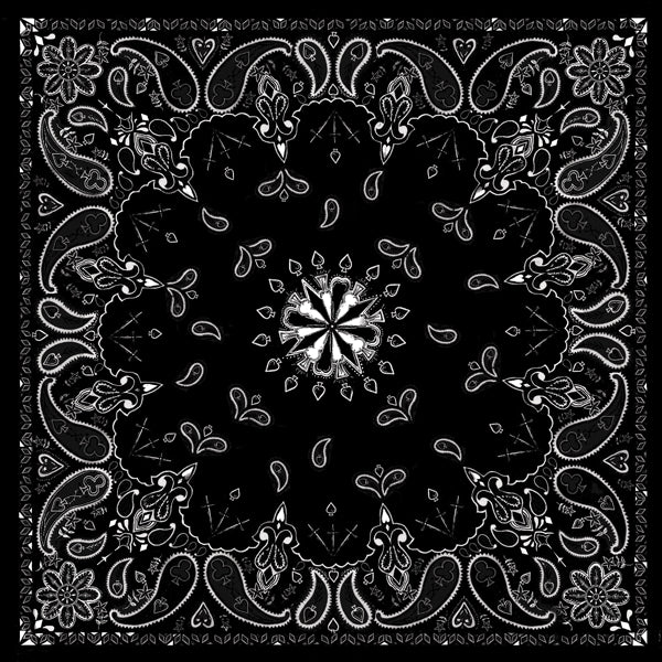 Load image into Gallery viewer, Paisley Black
