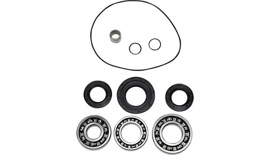 Epi WE290134 Differential Bearing and Seal Kit