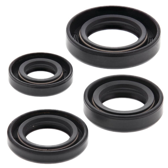 Vertex 822163 Oil Seal Kit