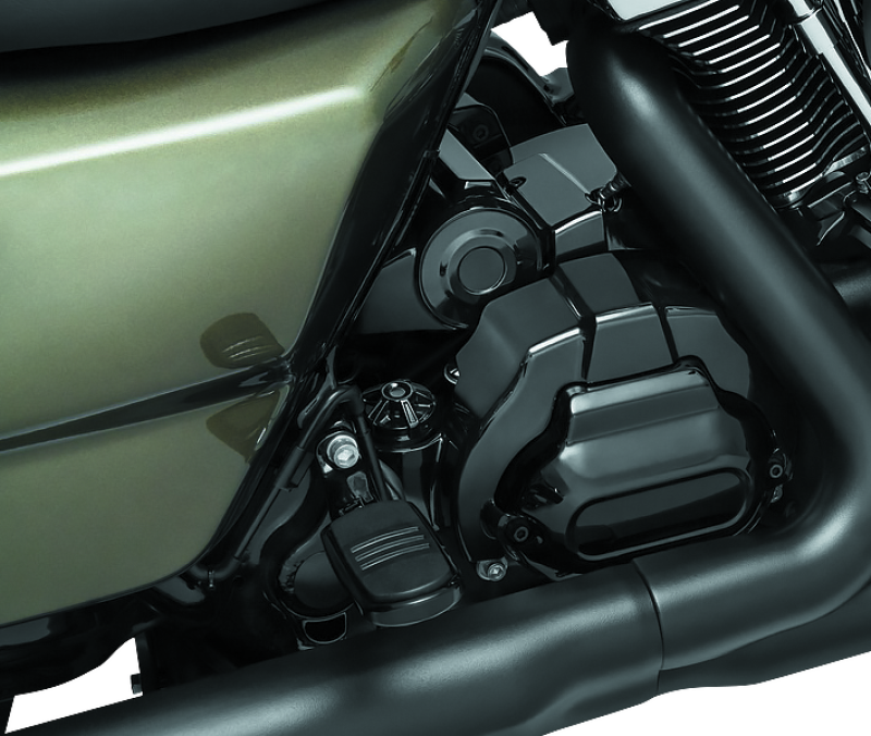 Load image into Gallery viewer, Kuryakyn 6426 KUR Dipsticks B
