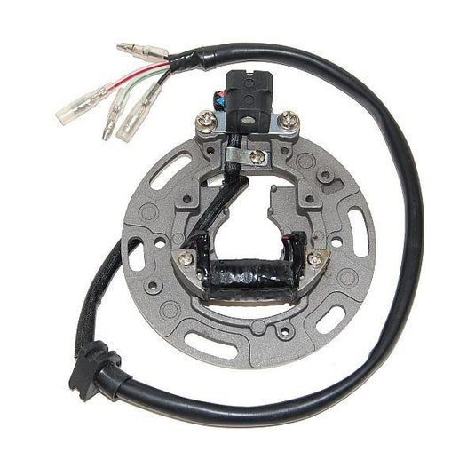 Electrosport Industries ESC1361 Stator