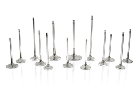 Ferrea F2134P FER Comp Plus Int Valve - Sets