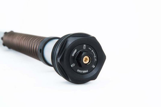 Ohlins FKS 233 OHL NIX 22 Custom & Heritage