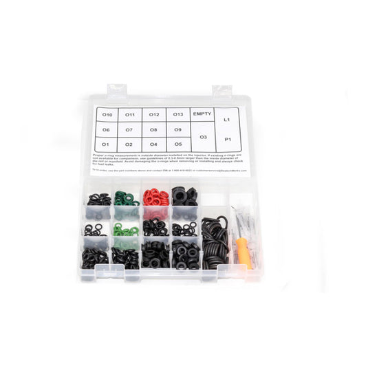 Deatschwerks 2-203 DW O-Ring Kit