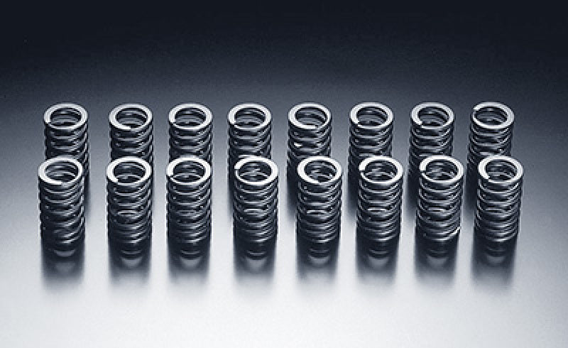Load image into Gallery viewer, Hks 2201-RT004 HKS Valve Springs
