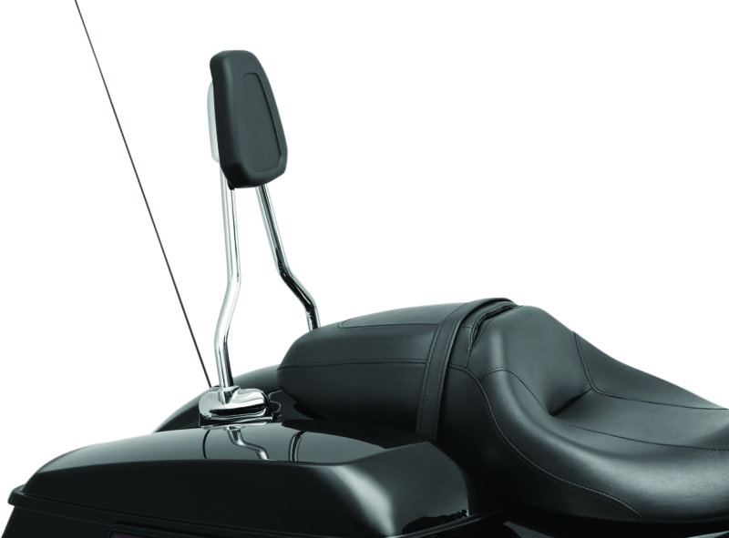 Load image into Gallery viewer, Kuryakyn 6585 KUR Sissy Bars
