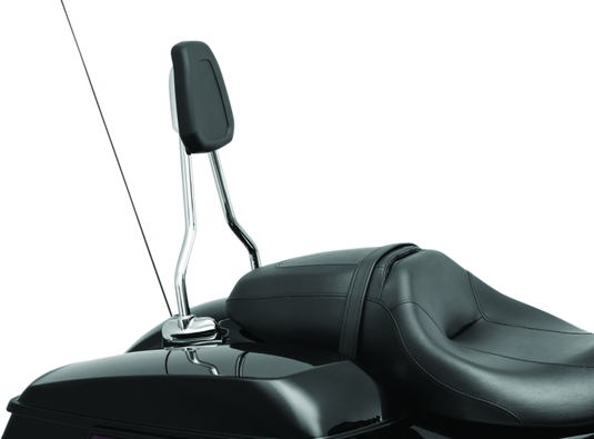 Kuryakyn 6585 KUR Sissy Bars