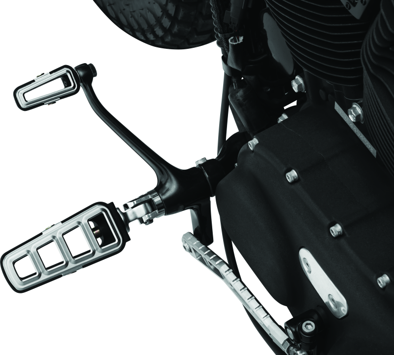 Load image into Gallery viewer, Kuryakyn 6658 KUR Foot Pegs F
