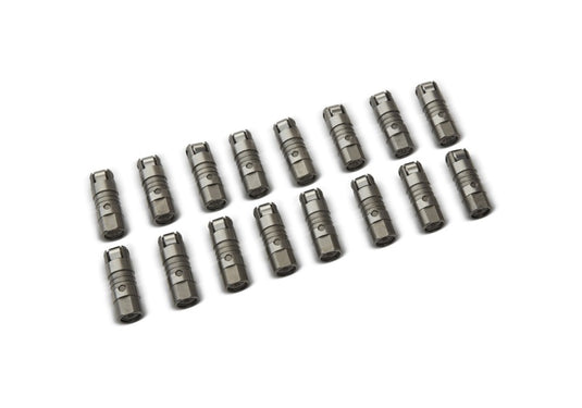 Ford Racing M-6500-R302H FR Lifters