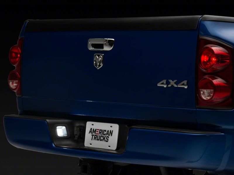 Load image into Gallery viewer, Raxiom R109176 RAX License Plate Bulbs
