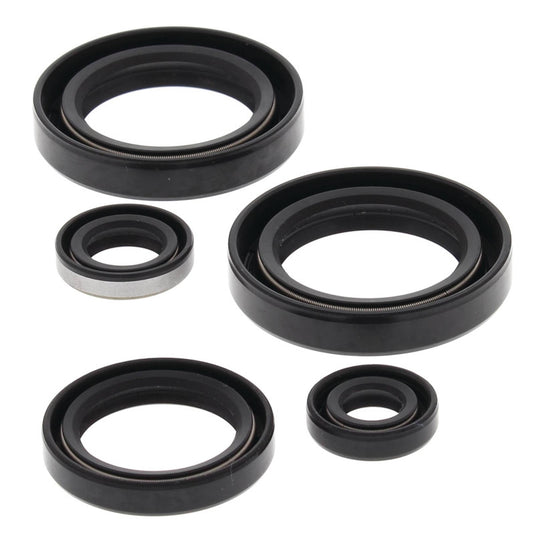Vertex 822244 Oil Seal Kit