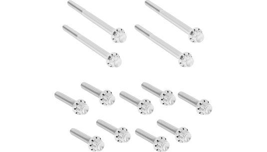 Arlen Ness 300-929 12 Point Primary Bolt Kit - Polished