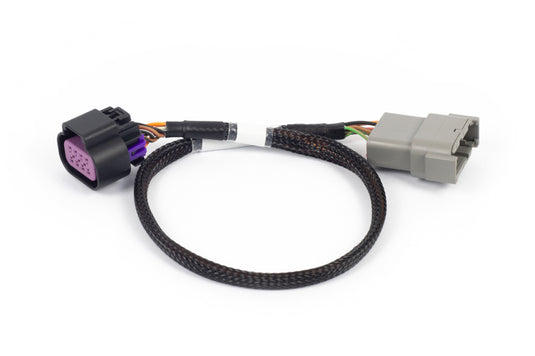 Haltech HT-186506 HAL NEXUS Rebel LS Adaptors