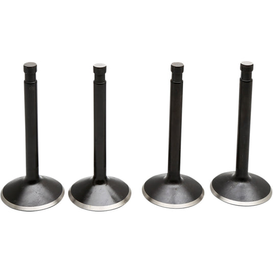 Kibblewhite Precision 20-22200 Black Diamond Valve Kit