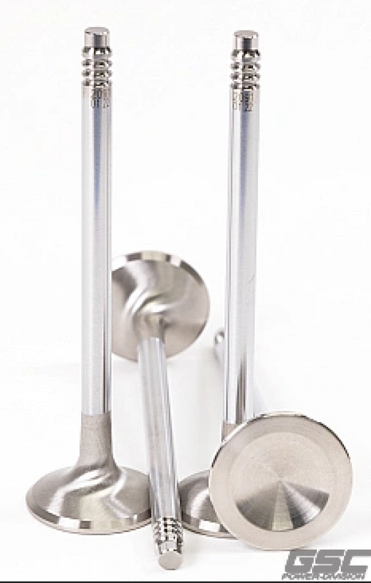 Gsc Power Division 2092-01 GSC Intake Valves -STD