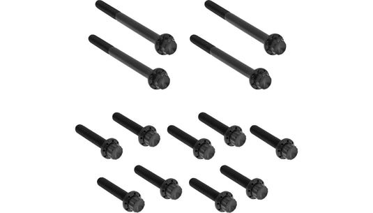 Arlen Ness 300-930 12 Point Primary Bolt Kit - Black
