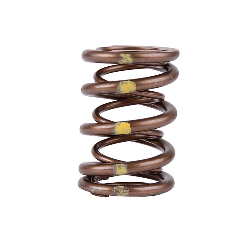 Load image into Gallery viewer, Skunk2 Racing 311-05-7350 SK Pro Valve Springs
