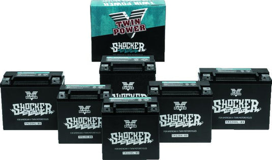 Twinpower 781151 TWP Shocker Batteries