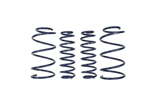 Ford Racing M-5300-RA FR Spring Kits