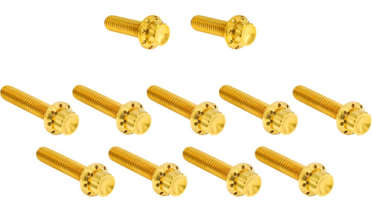 Arlen Ness 300-982 12 Point Cam Cover And Points Cover Bolt Kit - Gold