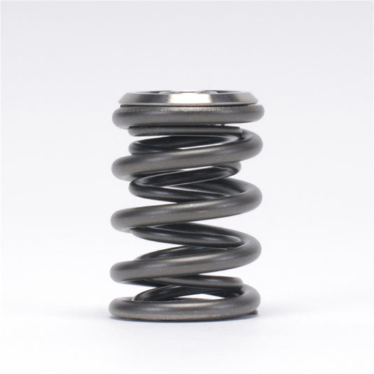 Skunk2 Racing 344-05-1300 SK Alpha Spring/Retainer Kit
