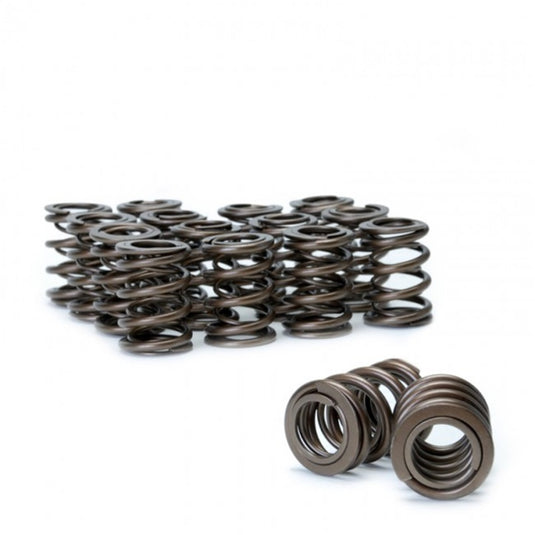 Skunk2 Racing 311-05-1350 SK Tuner Valve Springs