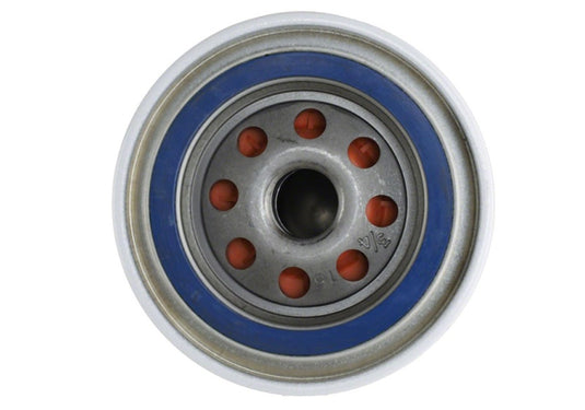 Ford Racing CM-6731-FL1A FR Oil Filters