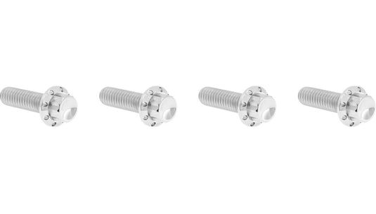 Arlen Ness 300-977 12 Point Brake And Clutch Perch Bolt Kit - Polished