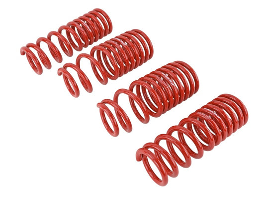 Skunk2 Racing 519-05-1650 SK Lowering Springs