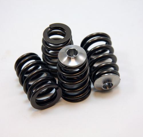 Gsc Power Division 5053 GSC Valve Spring Kits