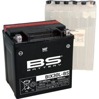 Bs Battery 300753 MF AGM Maintenance-Free Battery