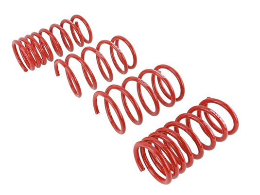 Skunk2 Racing 519-12-1001 SK Lowering Springs