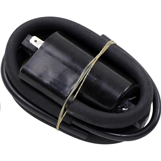 Ricks Motorsport Electric 23-302 Ignition Coil