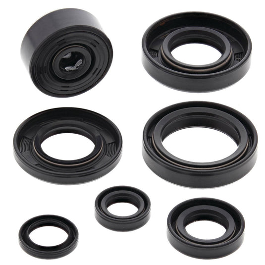 Vertex 822112 Oil Seal Kit