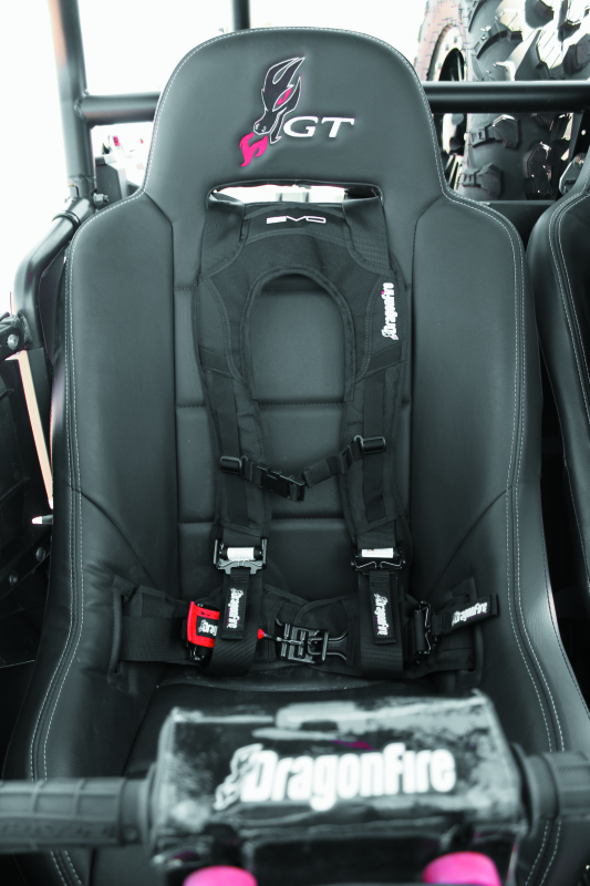 Load image into Gallery viewer, Dragonfire Racing 520761 DFR Evo Harness
