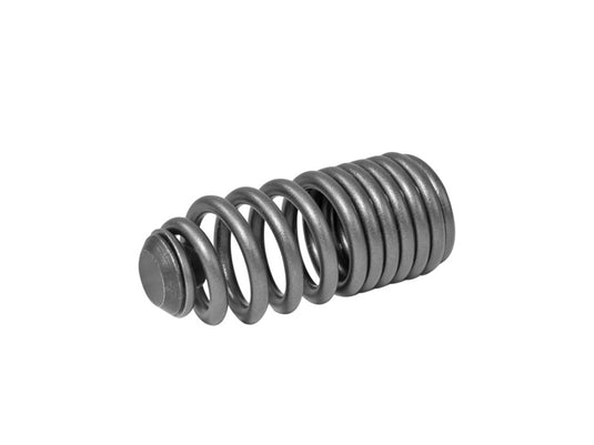 Skunk2 Racing 312-05-0200 SK Tuner Valve Springs