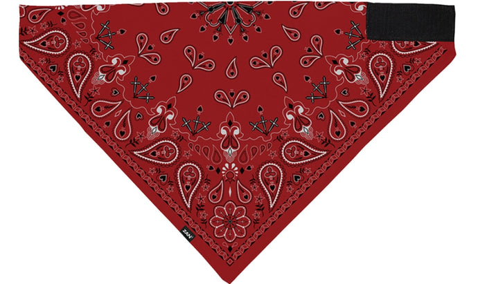 Red Paisley