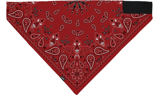 Red Paisley