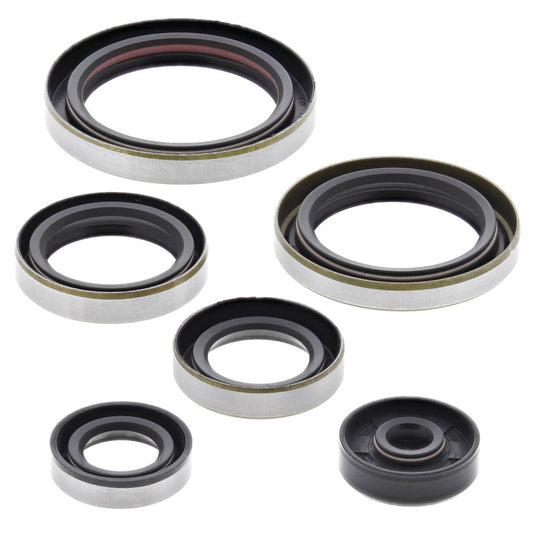 Vertex 822269 Oil Seal Kit
