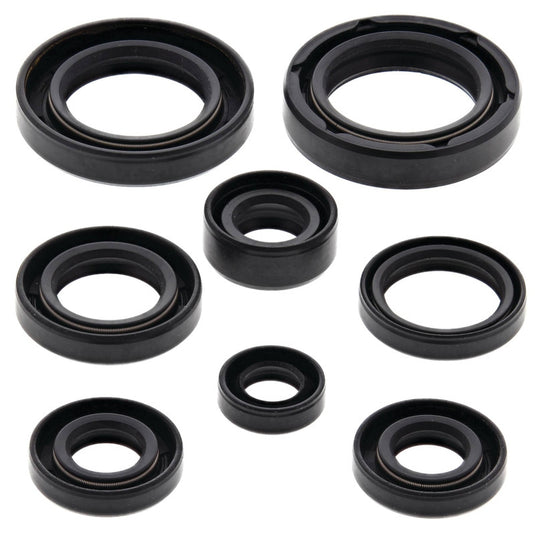 Vertex 822130 Oil Seal Kit