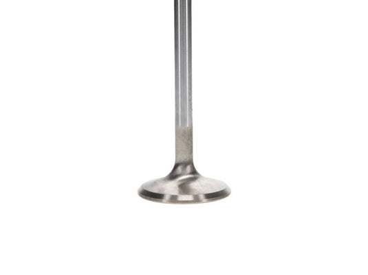Manley Performance 11643-10 MAN Race Master Valves