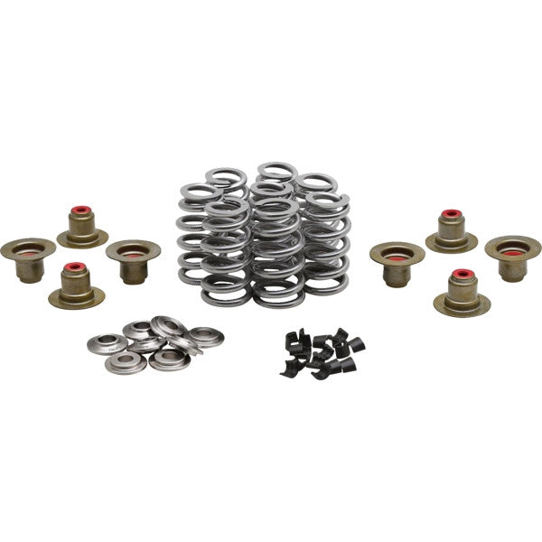 Kibblewhite Precision 20-24350 High-Performance Ovate Wire Beehive Valve Spring Kit