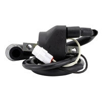 Rm Stator RMS060-105986 External Ignition Coil With Spark Plug Cap