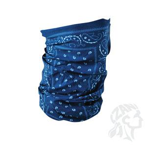 Paisley Blue