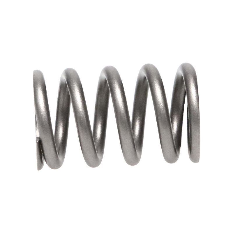 Load image into Gallery viewer, Manley Performance 22180-16 MAN Valve Spring Kits

